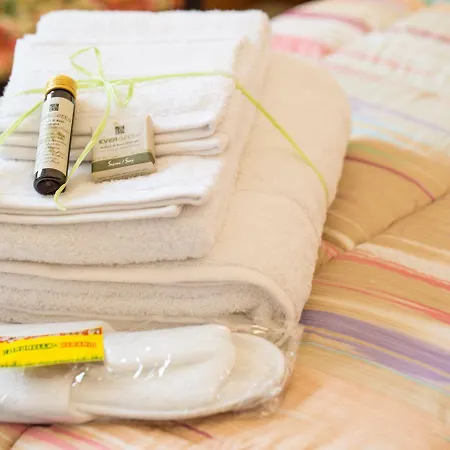 住宿加早餐酒店 Palazzi 佛罗伦萨