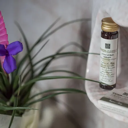 Palazzi 住宿加早餐酒店 3*