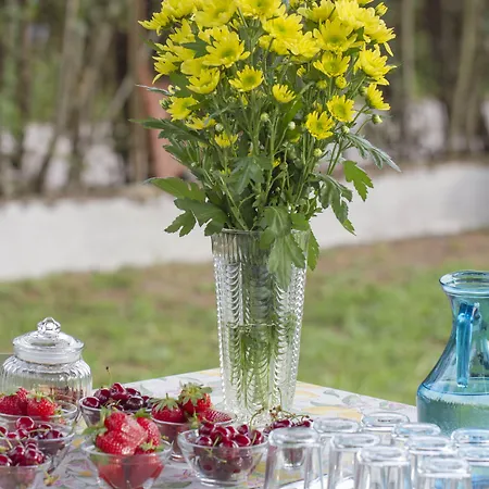 住宿加早餐酒店 Palazzi 3*