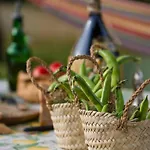 Bed and breakfast Palazzi Florencia