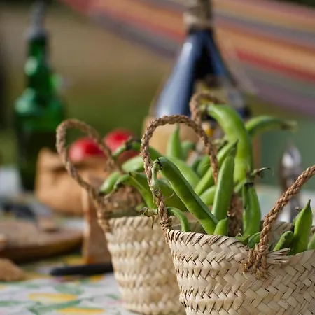 Bed and Breakfast Palazzi Φλωρεντία