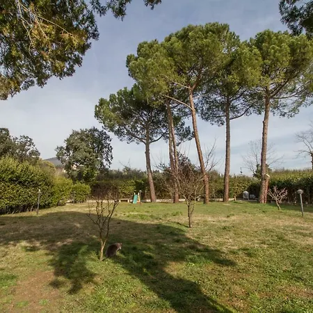 Palazzi Bed and Breakfast